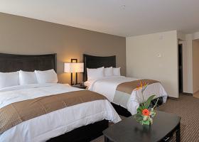 Mainstay Hotel 3*